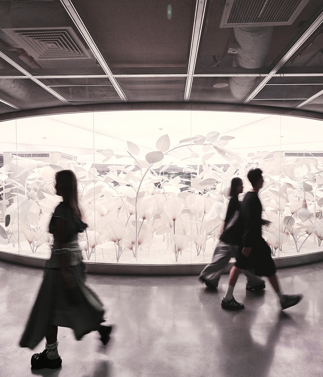 Fashion Gallery 15