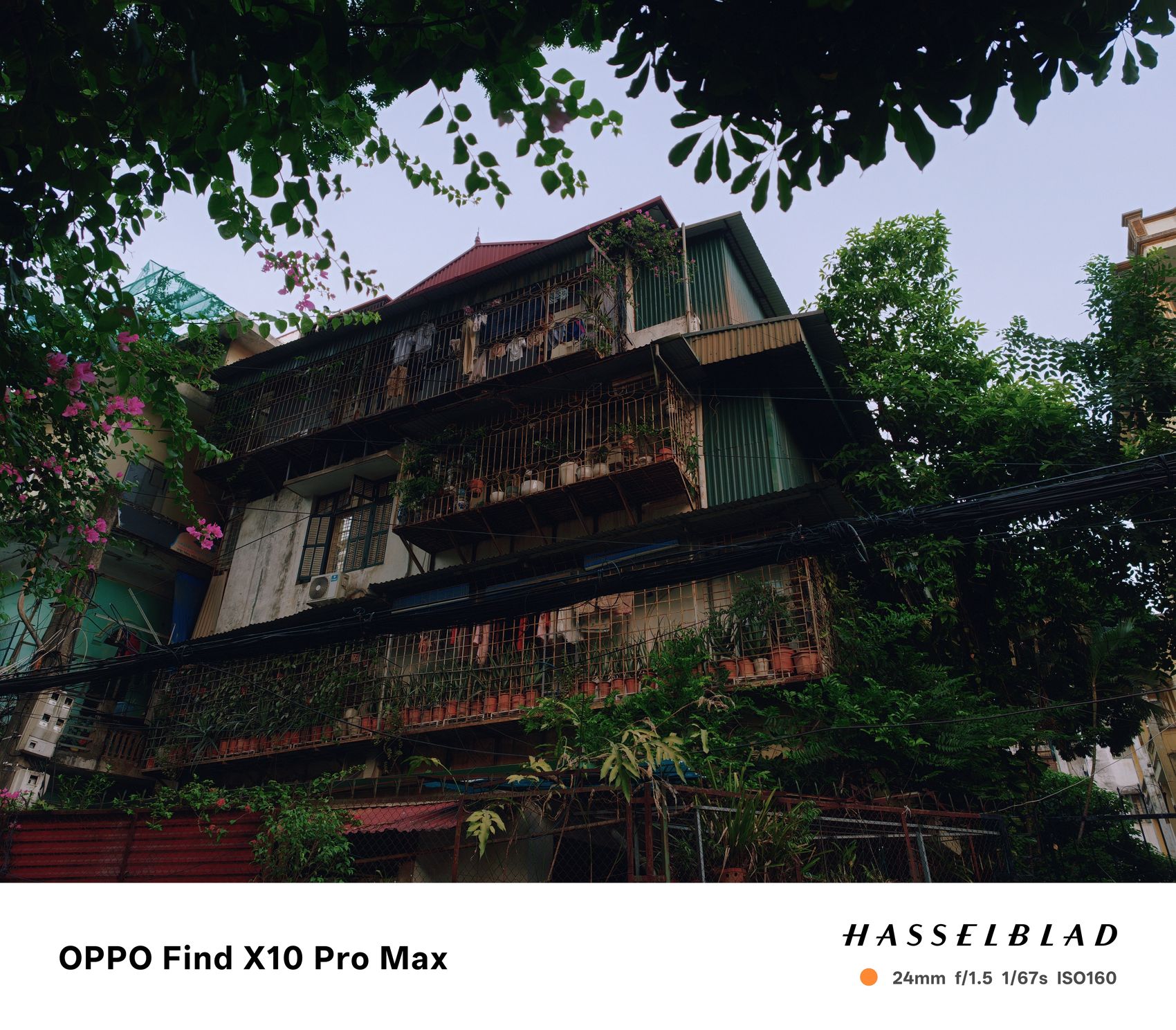 Ảnh chụp bằng OPPO Find X10 Pro Max