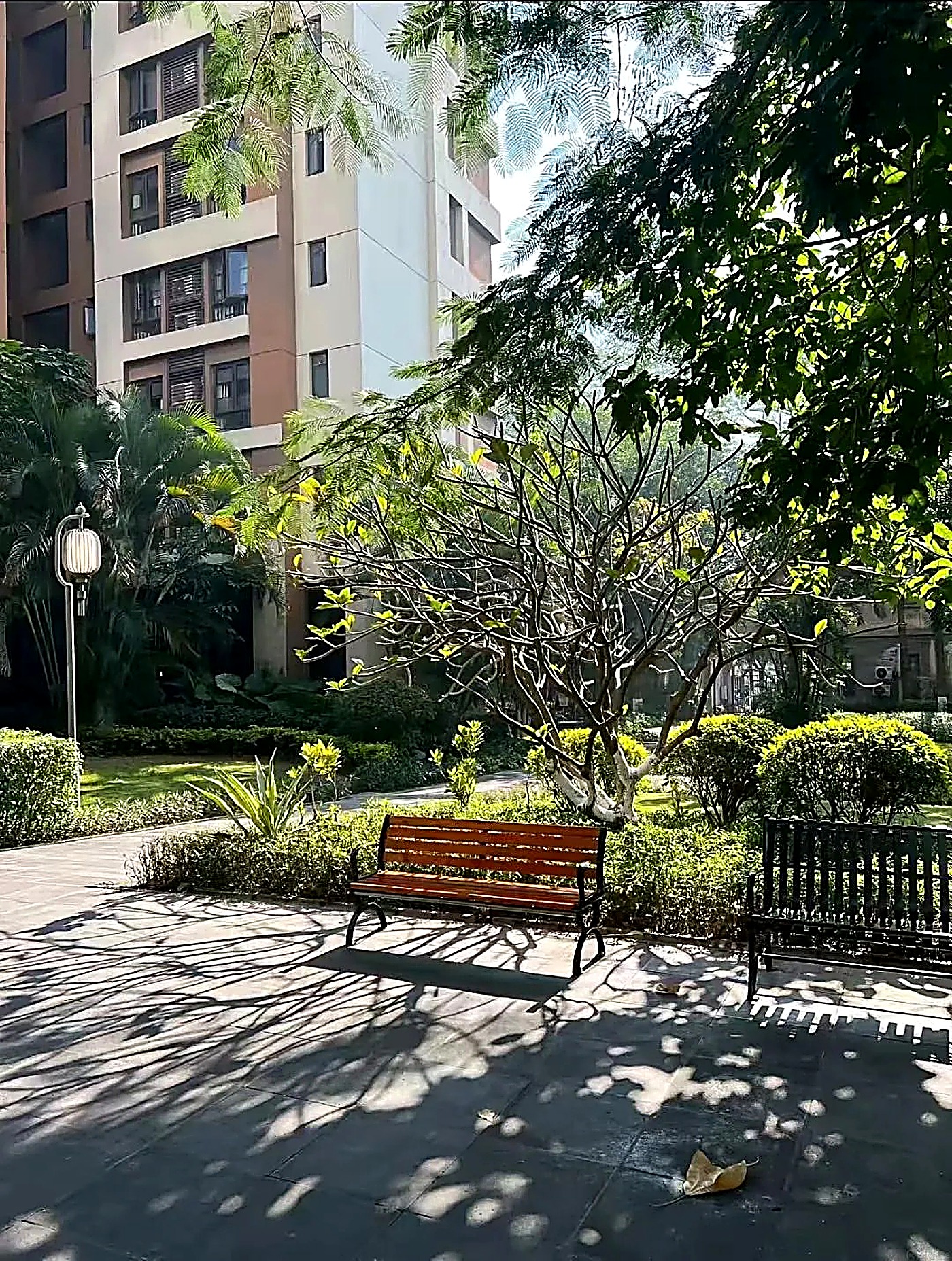 Ghế đá công viên trong khuôn viên khu chung cư, cây xanh yên tĩnh