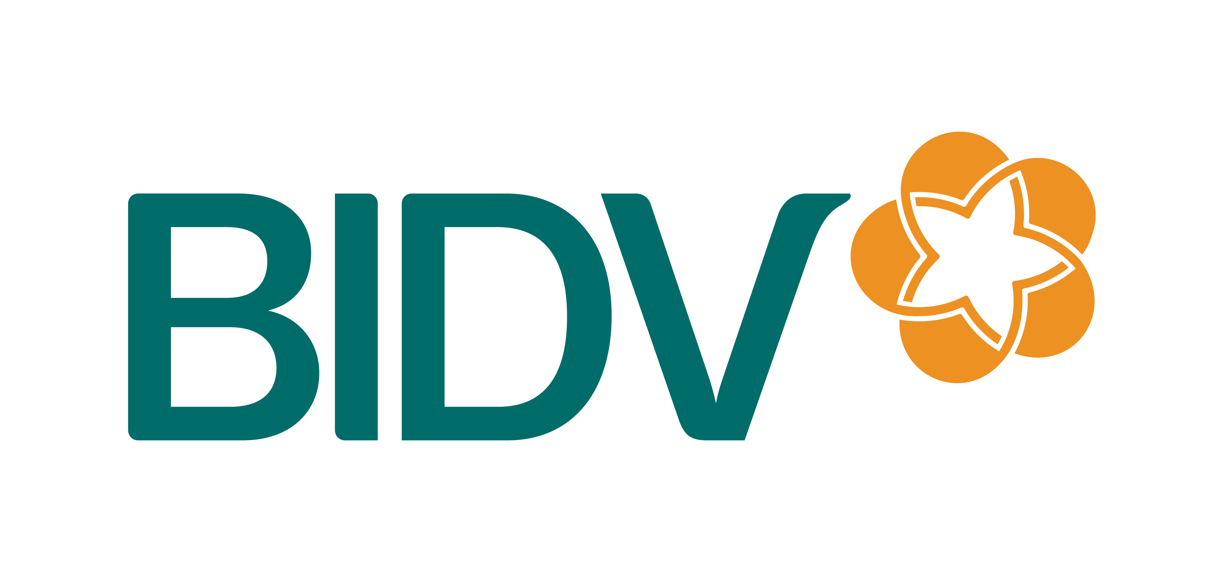 BIDV Logo