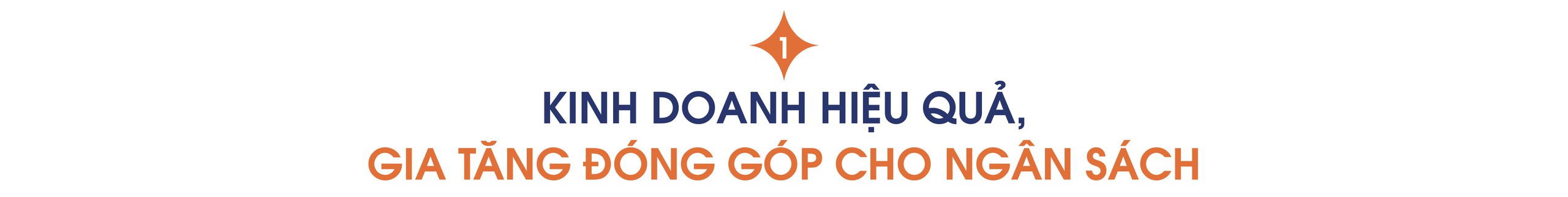 KINH DOANH HIỆU QUẢ, GIA TĂNG ĐÓNG GÓP CHO NGÂN SÁCH