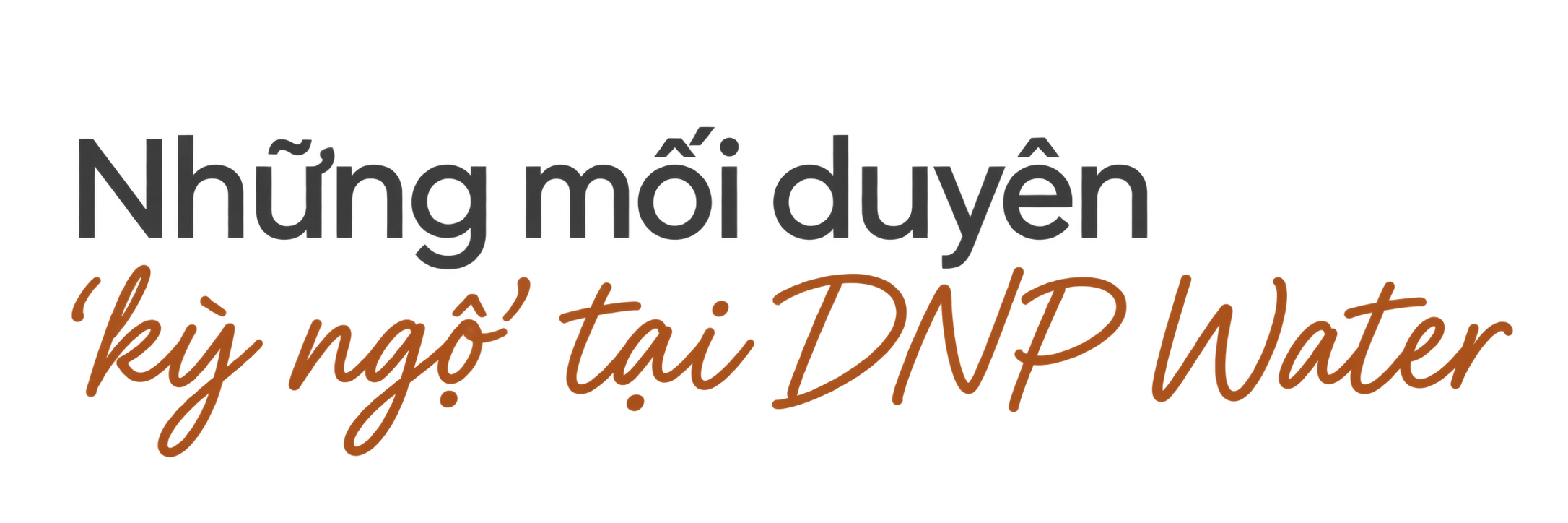 Những mối duyên ‘kỳ ngộ’ tại DNP Water