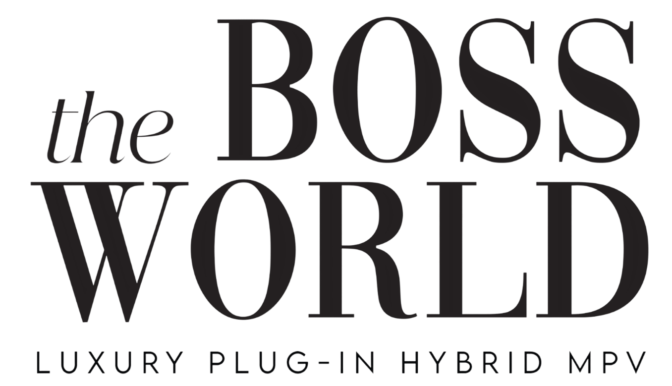 the BOSS WORLD